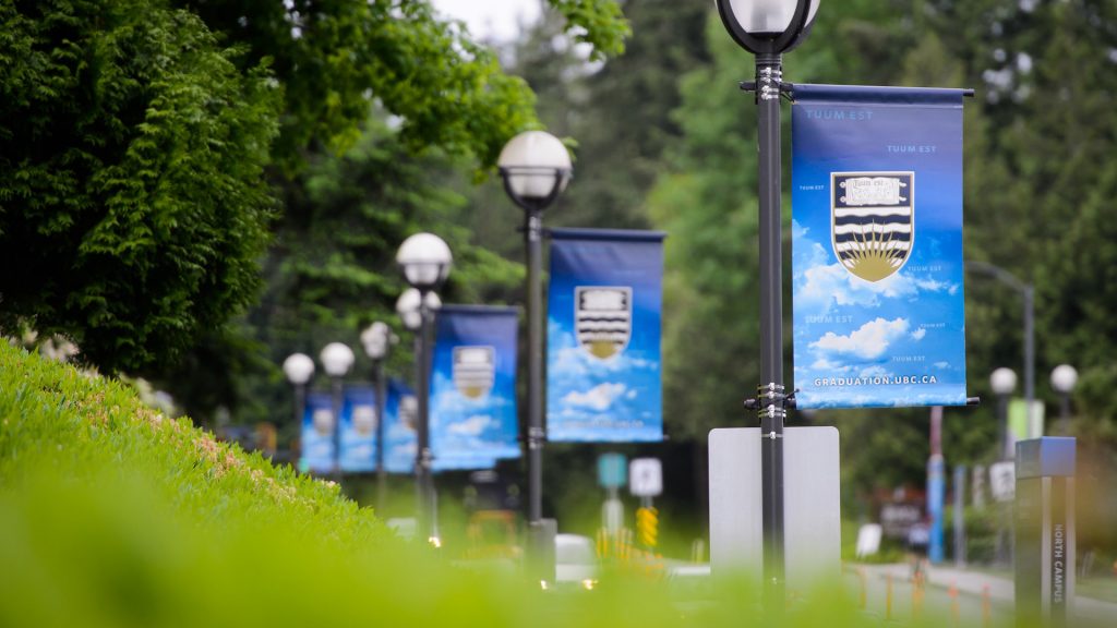 A row of lamp posts with bulb lights and decorated banners are seen on a tree-lined walkway. The banners feature the UBC logo on a background of clouds. 